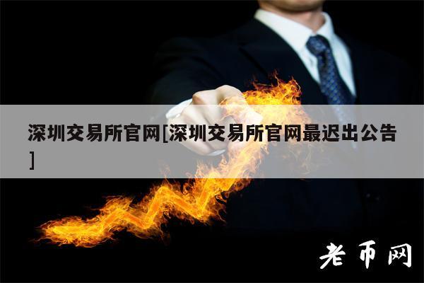 深圳交易所官网：如何查找上市公司披露信息，如财务报表